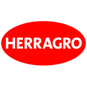 agregar un subtítulo (300 x 300 px) (21)