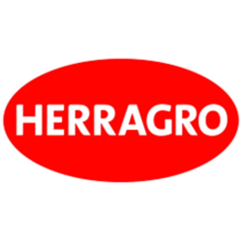 Inicio Agregar Un Subtitulo 300 X 300 Px 21