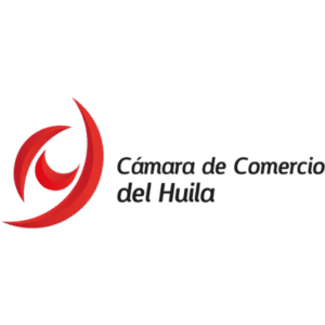 agregar un subtítulo (300 x 300 px) (7)